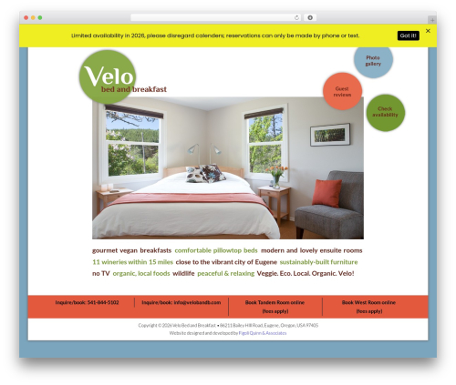 Live Wire WordPress theme design - velobandb.com