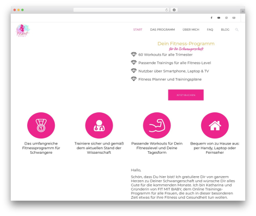 WordPress Form Customizer | CF7 Customizer (cf7-customizer) free WordPress plugin - fit-mit-baby.com