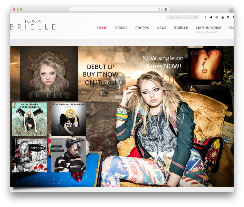 Soundy music pro WordPress plugin - brielleonline.com