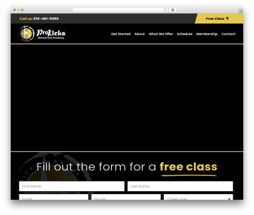 WordPress theme Zyth - prokicksma.com