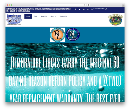 Elementorpro3171n WordPress plugin - remoralure.com