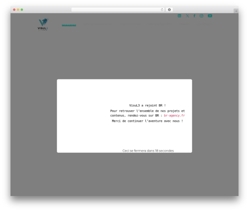 Tp add on automatic language detection WordPress plugin - visul3.com