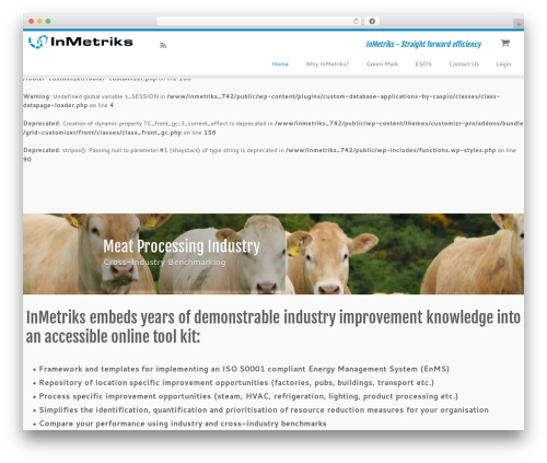 Customizer CA mod WordPress website theme - inmetriks.com