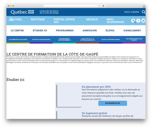 Theme WordPress CFCDG - cfcdg.com