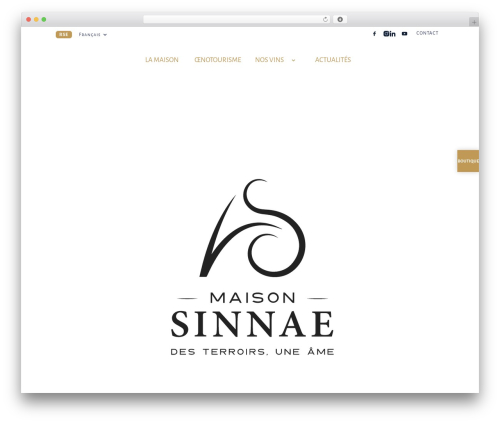 Quick View for WooCommerce (woo-quickview) free WordPress plugin - sinnae.fr