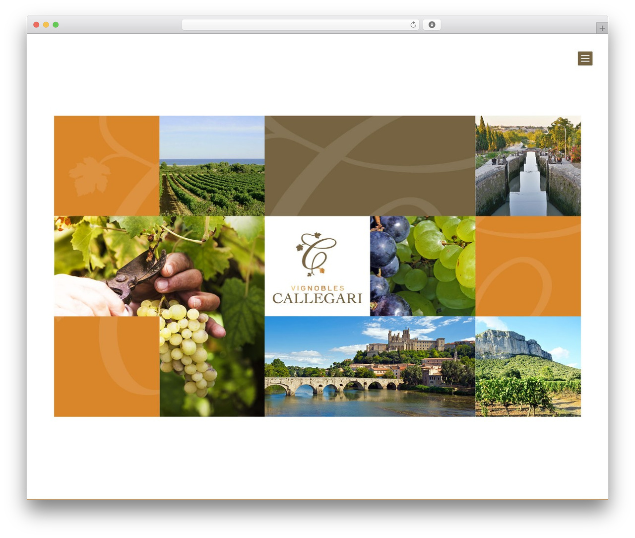 Divi WordPress theme - vignoblescallegari.com