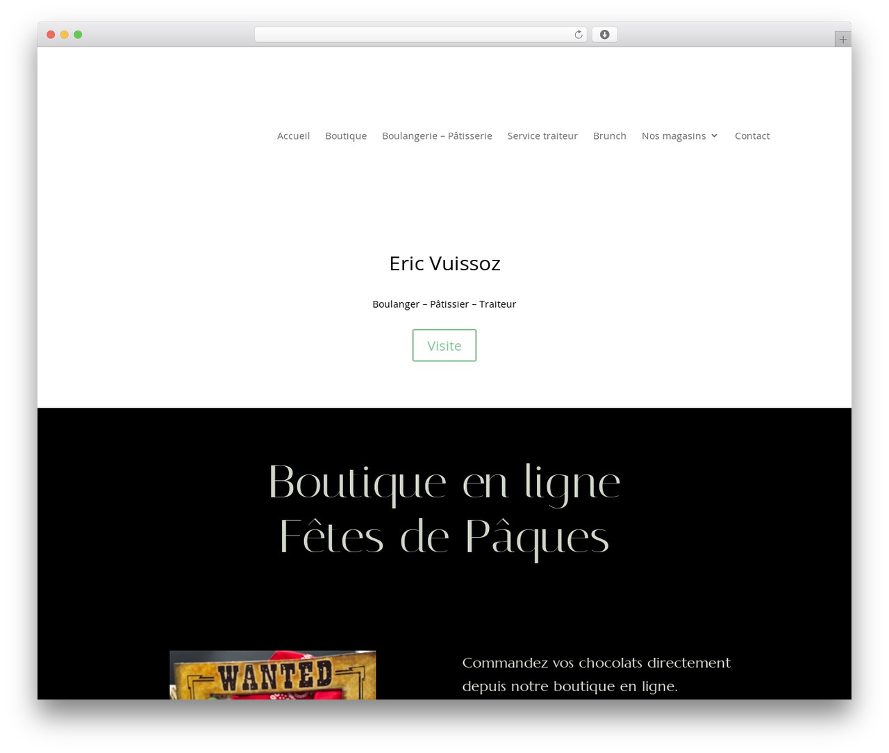 Divi WordPress theme - vuissoz.com