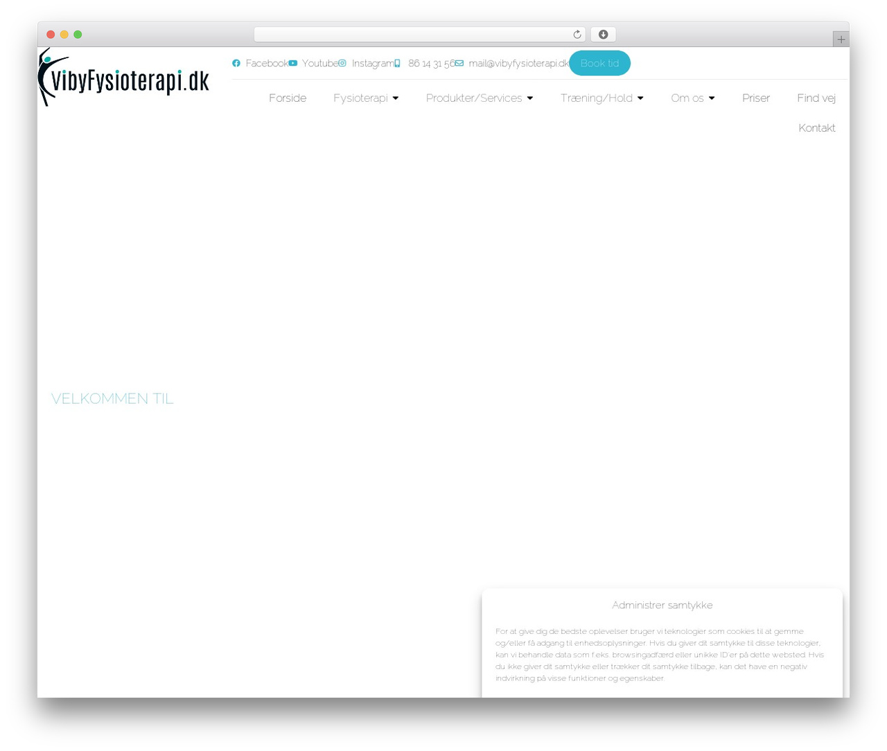 Hello Elementor theme WordPress - vibyfysioterapi.dk
