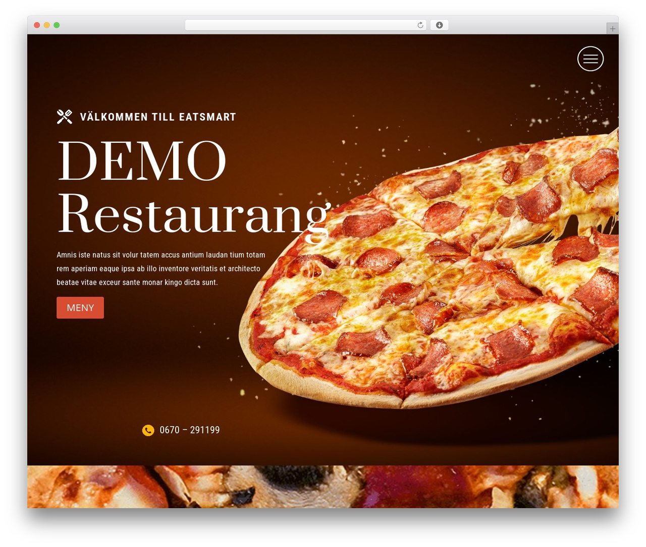 Divi WordPress theme - bc.nu Divi WordPress theme - bc.nu