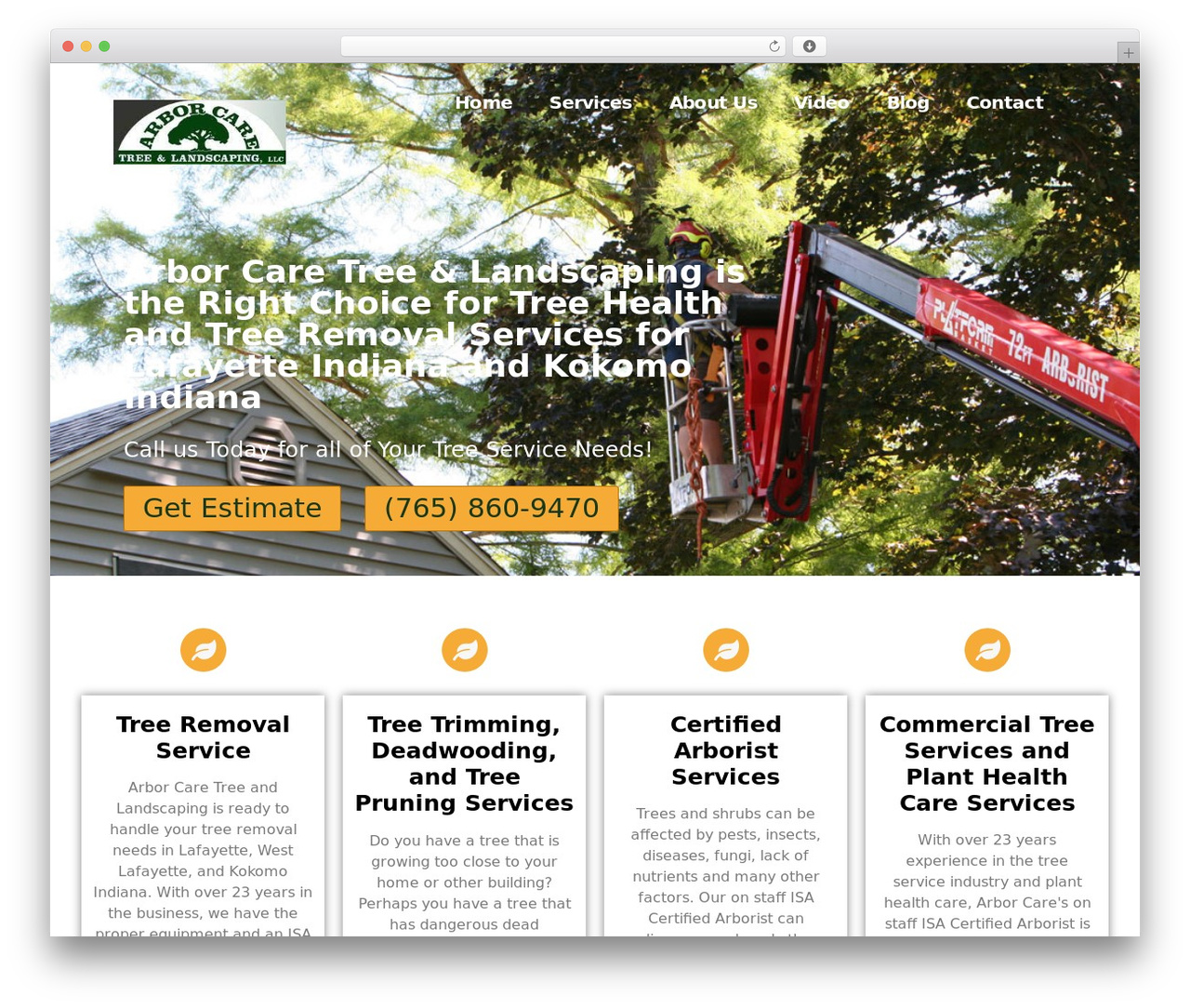 Hello Elementor theme WordPress - arborcareservices.net Hello Elementor theme WordPress - arborcareservices.net