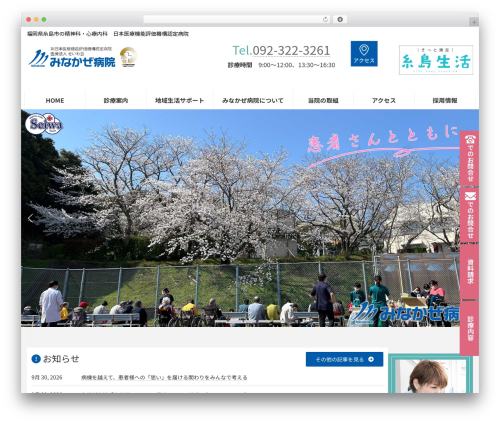 Lightning g3 pro unit WordPress plugin - minakaze.jp