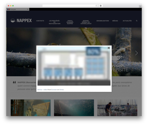 Gdlr project WordPress plugin - nappex.fr