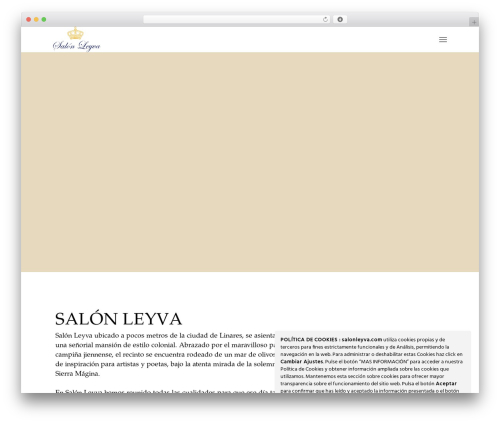 PrecisionAndCraft WordPress page theme - salonleyva.com