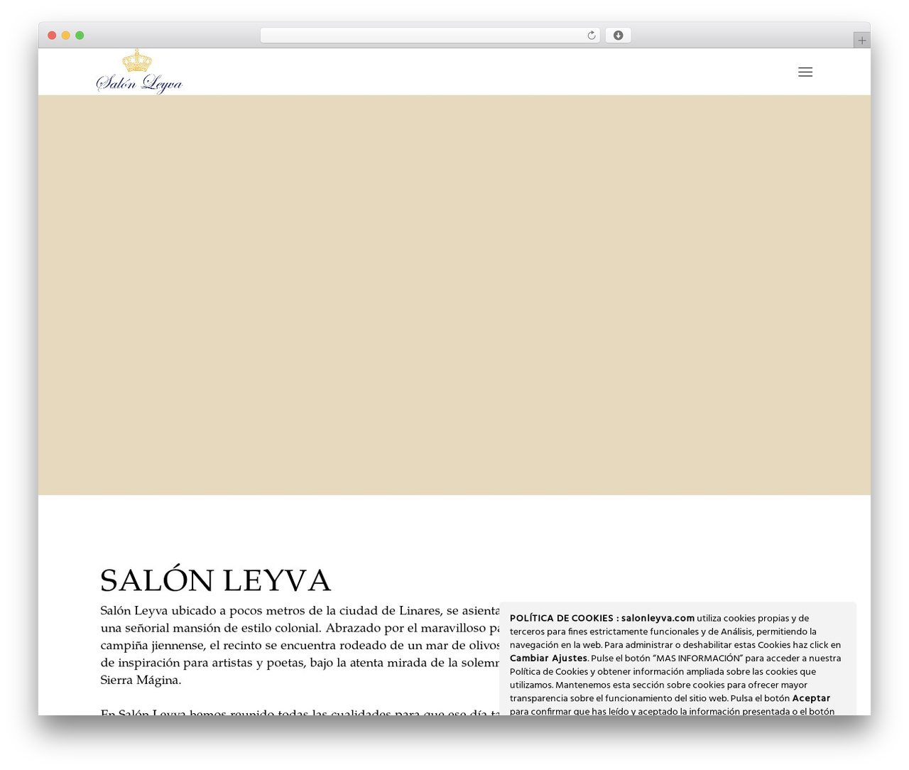 PrecisionAndCraft WordPress page theme - salonleyva.com