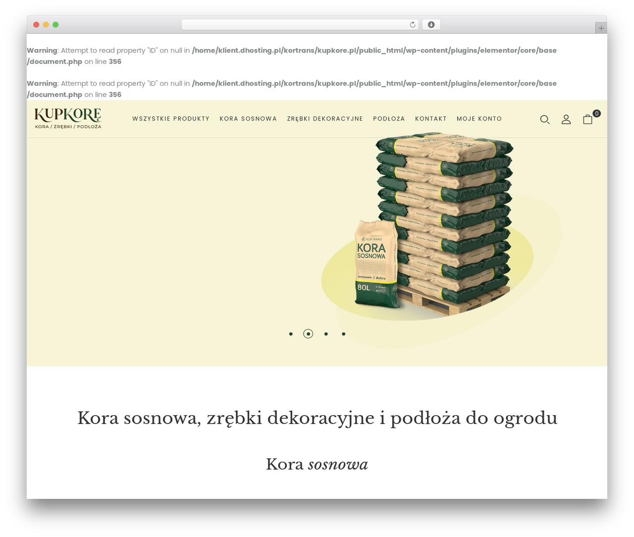 Theme WordPress Flacio - kupkore.pl