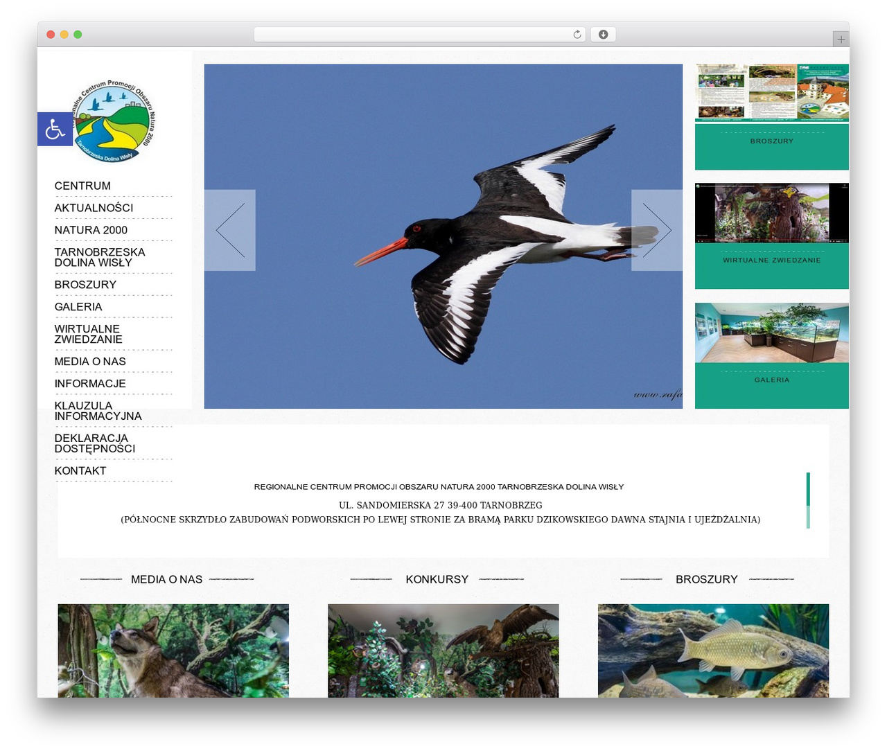 WordPress theme Socha Responsive Theme - natura2000.tarnobrzeg.pl WordPress theme Socha Responsive Theme - natura2000.tarnobrzeg.pl