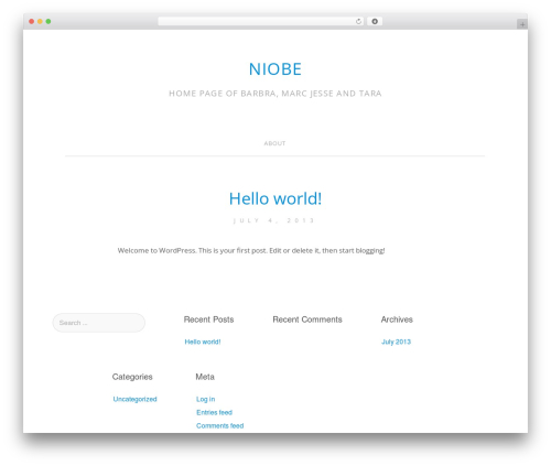Simple Style WordPress theme - niobe.nl