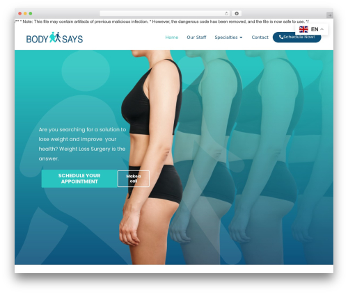 Elementor pro1 WordPress plugin - bodysaystijuana.com