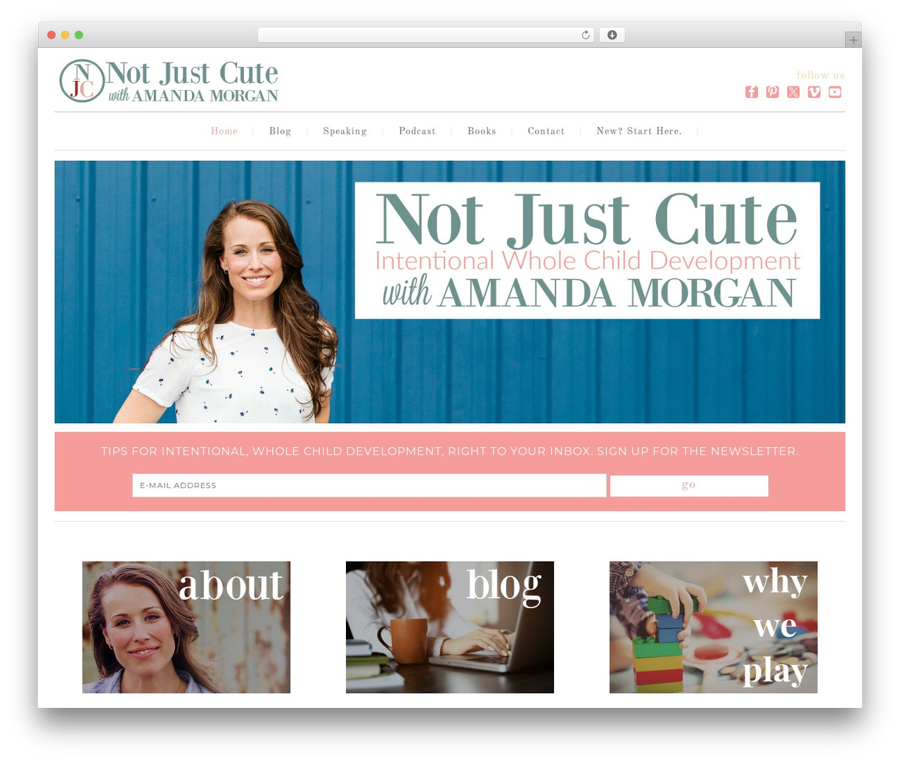 WordPress theme Swank Theme - notjustcute.com