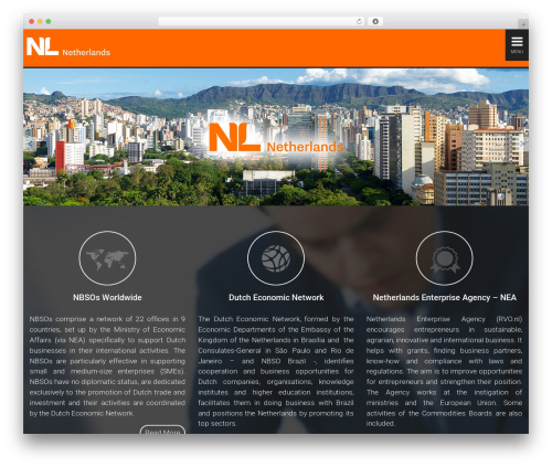 WordPress website template Tema Smart - nbso-brazil.com.br