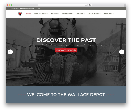 Divi WordPress theme design - npdepot.org
