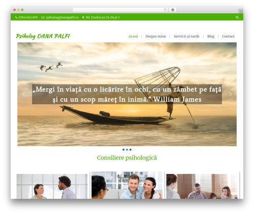 Theme WordPress Theme OWM - oanapalfi.ro