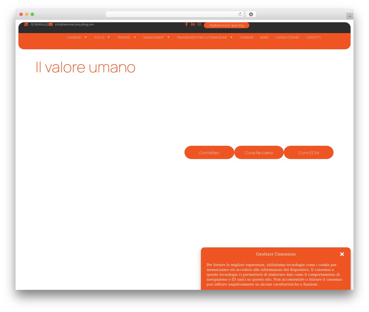 VM base theme WordPress - tiemmeconsulting.com
