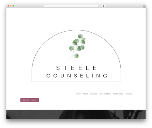 WordPress theme Divi - onasteelecounseling.com