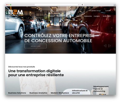 Halstein core WordPress plugin - b2m-it.com