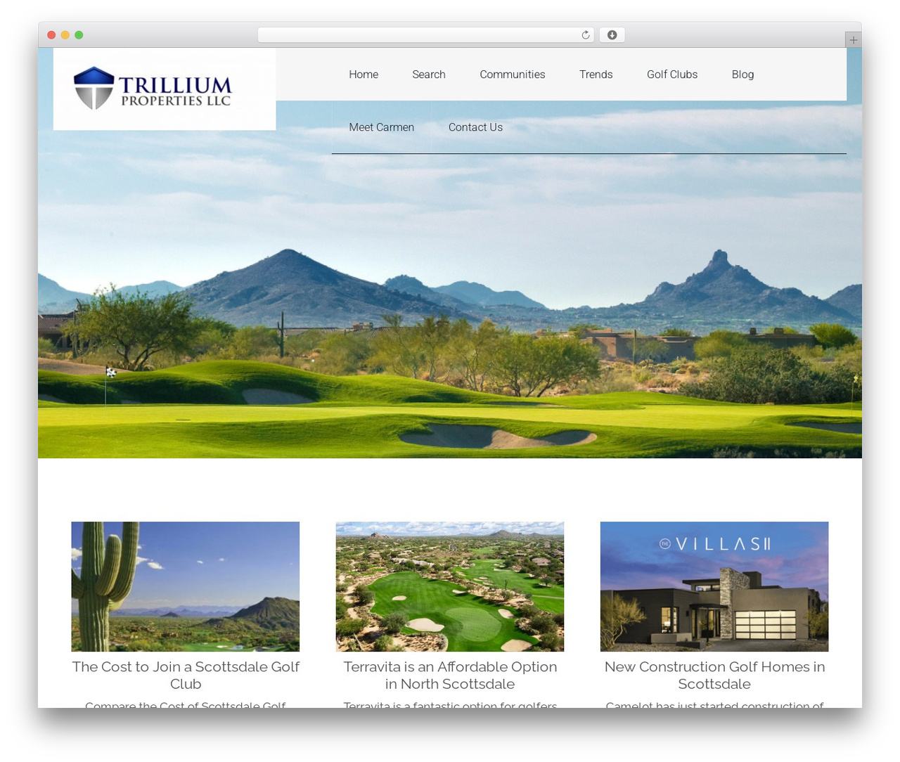 Genesis theme WordPress - troonrealestate.com