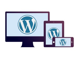 Best WordPress theme WP Bootstrap Best WordPress theme WP Bootstrap