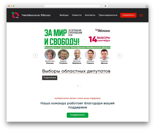 Best WordPress theme Kandinsky - yabloko74.ru