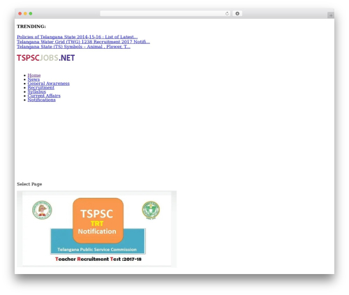 Extra top WordPress theme - tspscjobs.net
