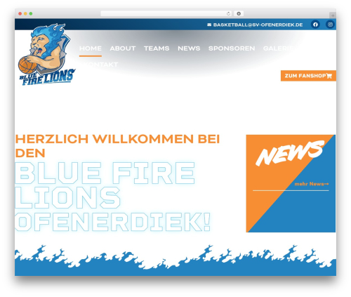 mb-elementor WordPress theme - bluefirelions.de