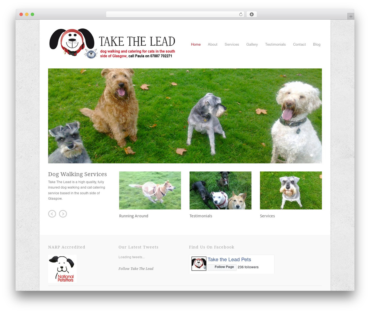 Theme WordPress Craft - taketheleadpets.co.uk