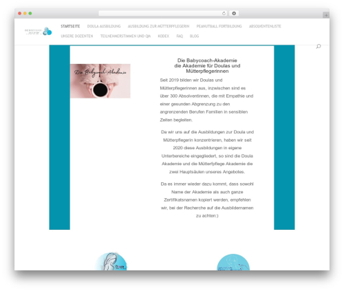Pixelmate WordPress plugin - babycoachakademie.de