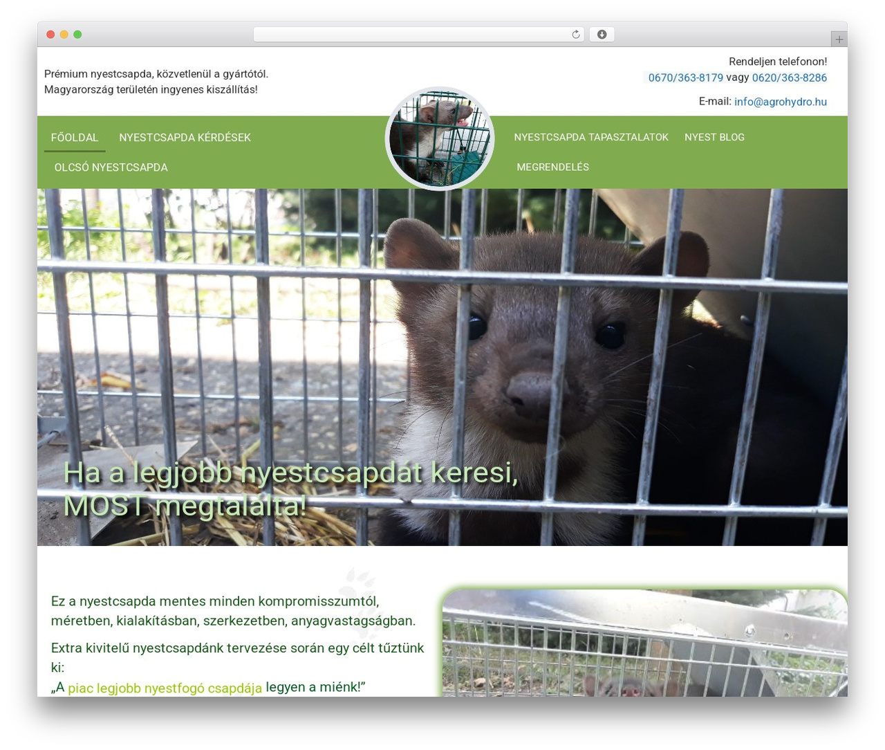 Theme WordPress GeneratePress - nyestcsapda.hu Theme WordPress GeneratePress - nyestcsapda.hu