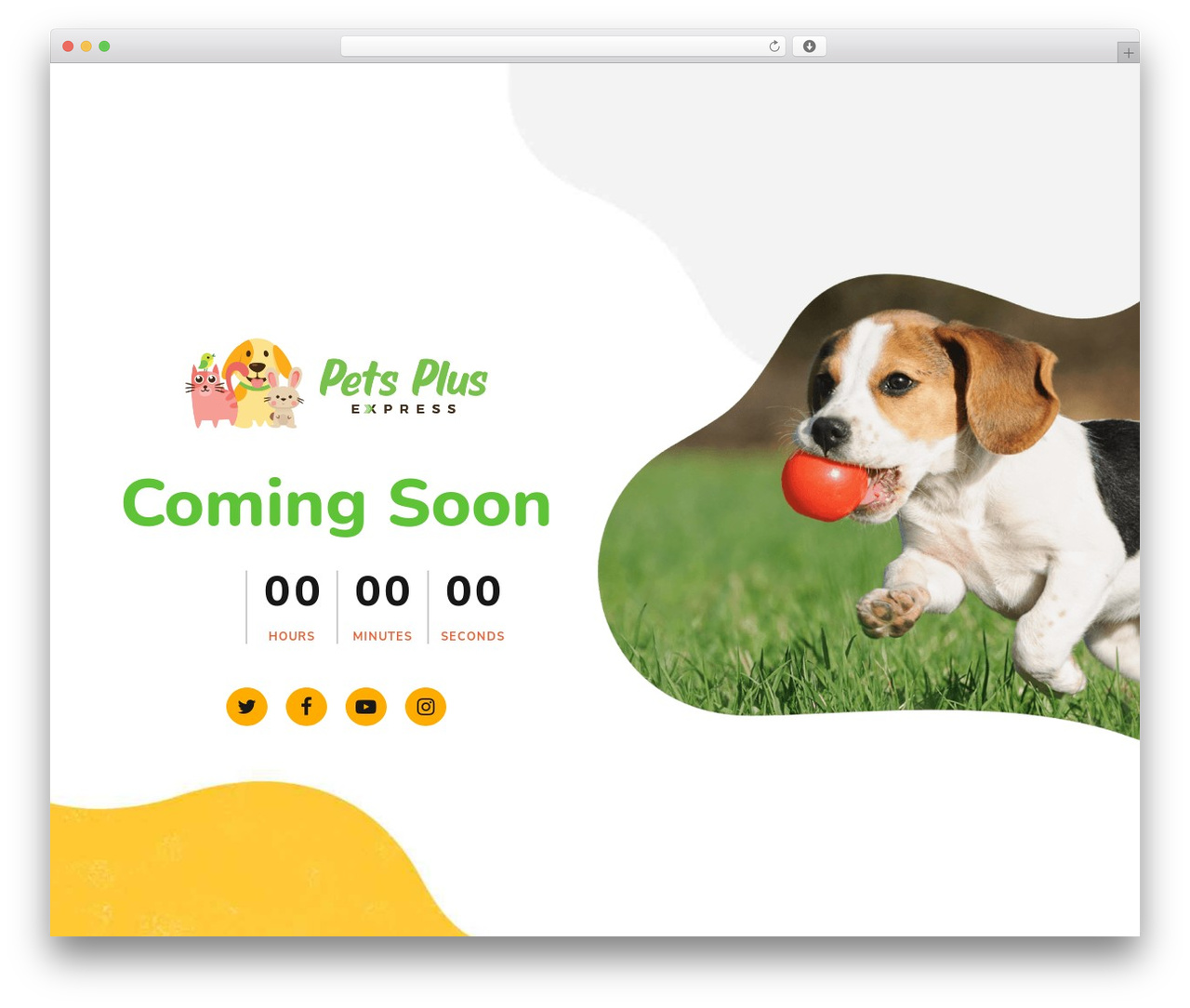 WordPress theme Pawsitive - petsplusexpress.com
