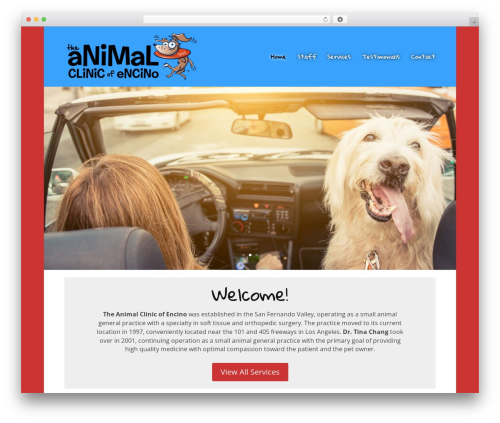 WordPress theme Divi - tacoencino.com