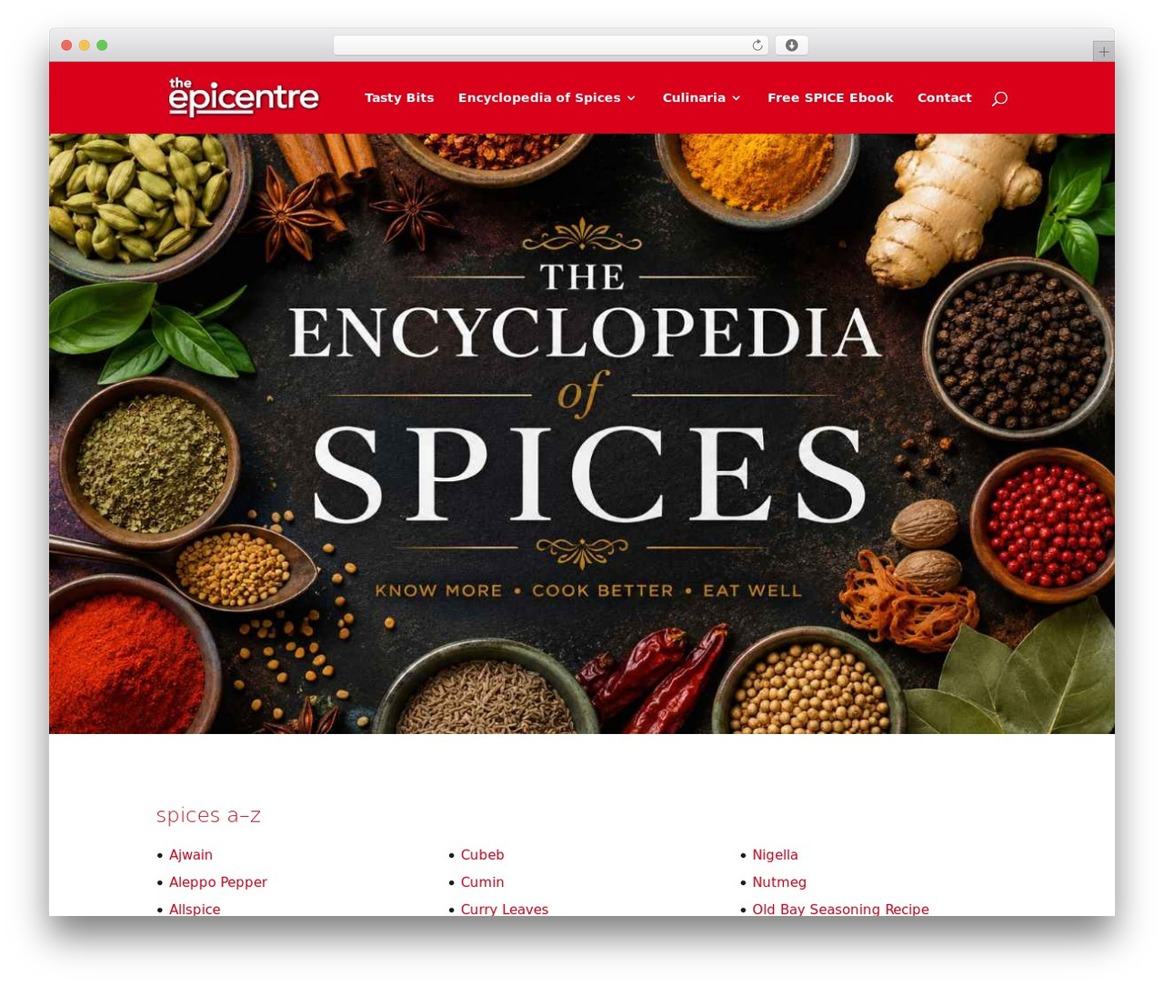 WordPress theme Divi - theepicentre.com