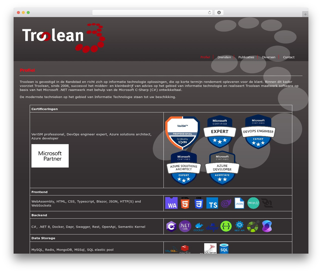 WordPress website theme Troolean - troolean.nl