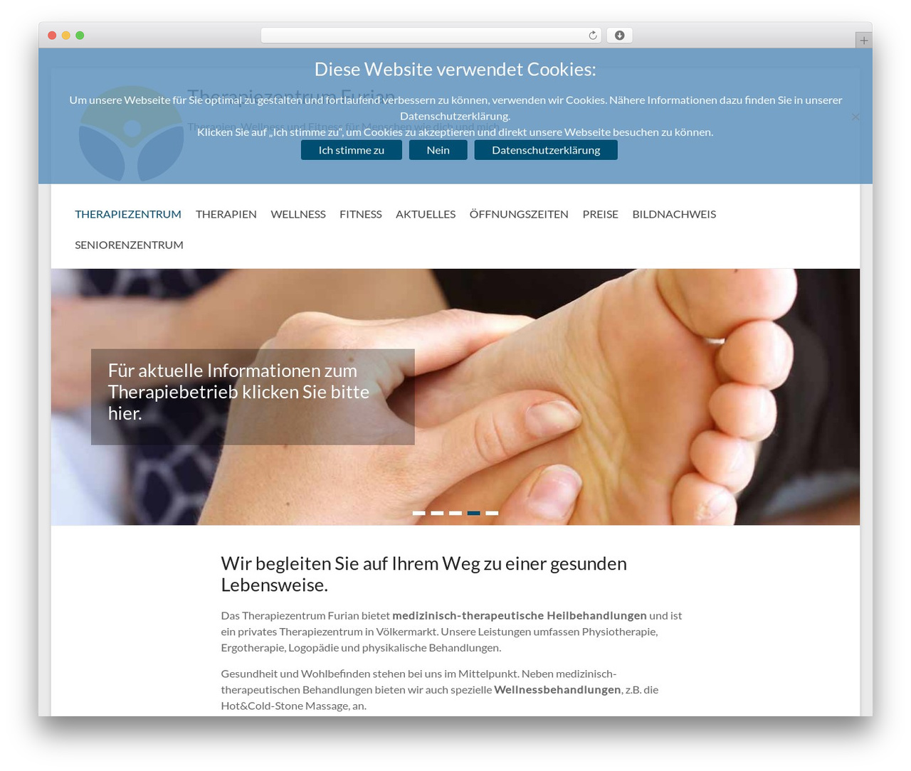 WP theme Spacious Pro - therapiezentrum.cc