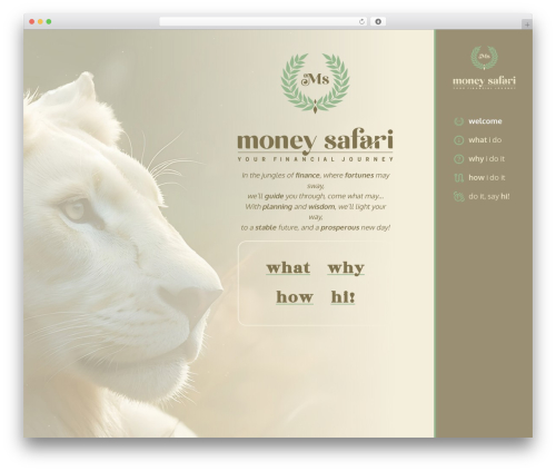 Divi WordPress theme - moneysafari.co.za