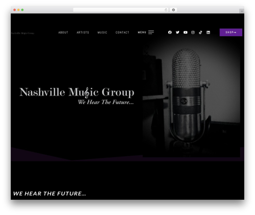 Sonaar music pro WordPress plugin - thenashvillemusicgroup.com