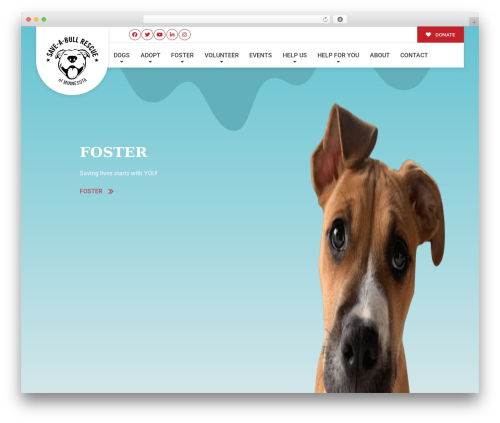 Buzz To The Rescues WP theme - saveabullmn.org