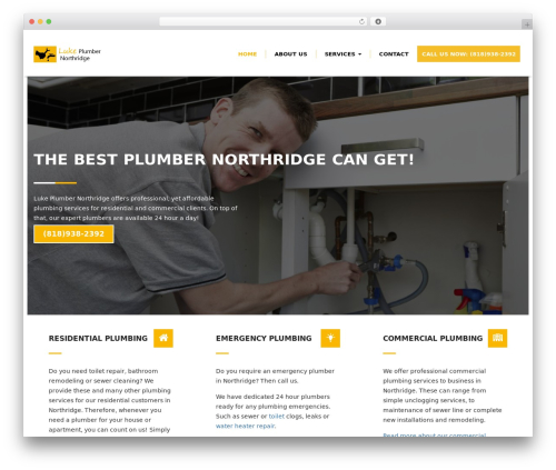 Theme WordPress Renew - plumbernothridge.com