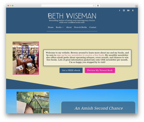 Post Hit Counter (post-hit-counter) free WordPress plugin - bethwiseman.com