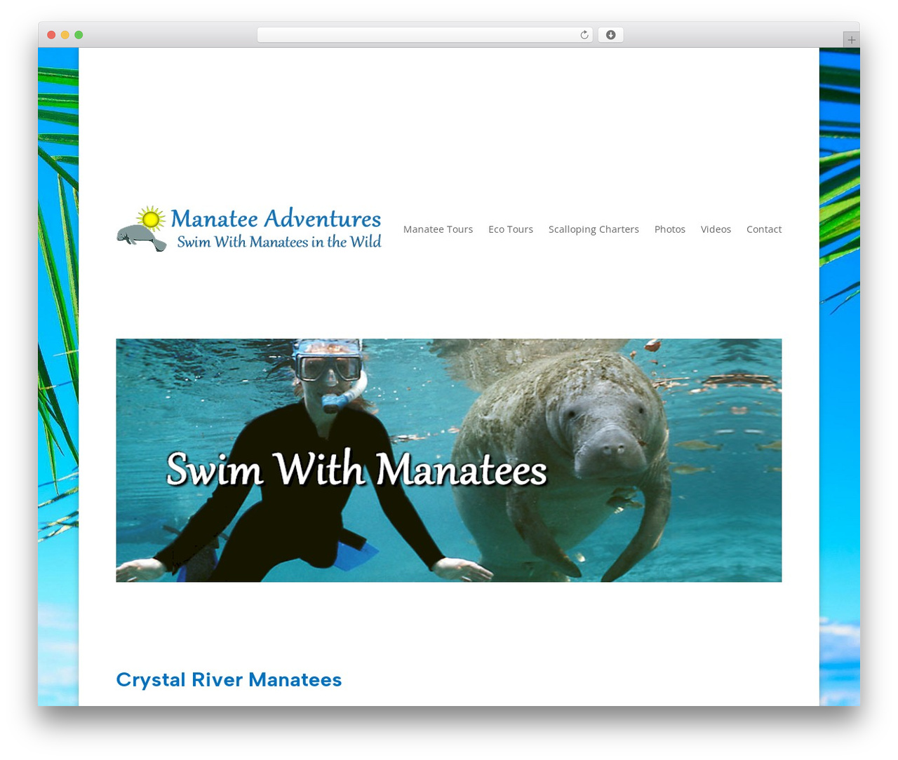 WordPress theme Divi - crystalrivermanatees.com WordPress theme Divi - crystalrivermanatees.com