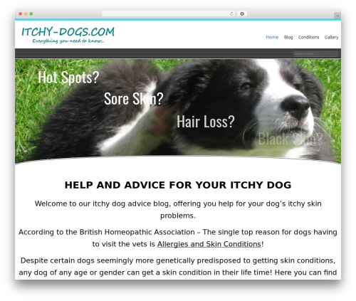 Celestial best WordPress theme - itchy-dogs.com
