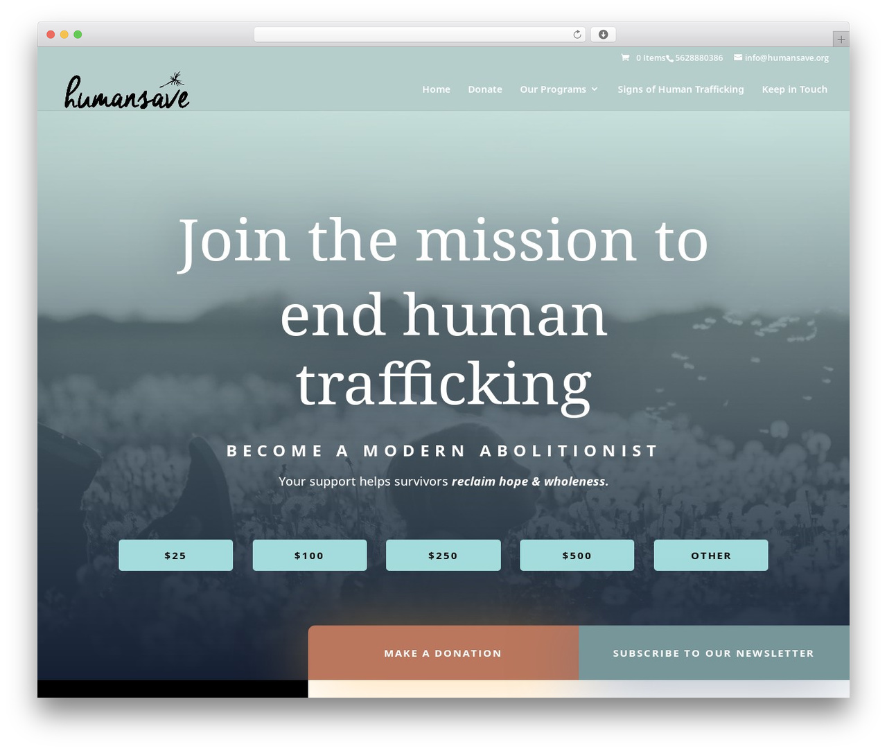 Divi theme WordPress - humansave.org Divi theme WordPress - humansave.org